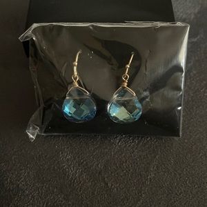 Shimmering Teardrop Earrings